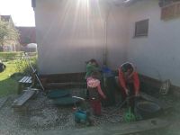 Garten_6