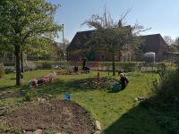 Garten_7
